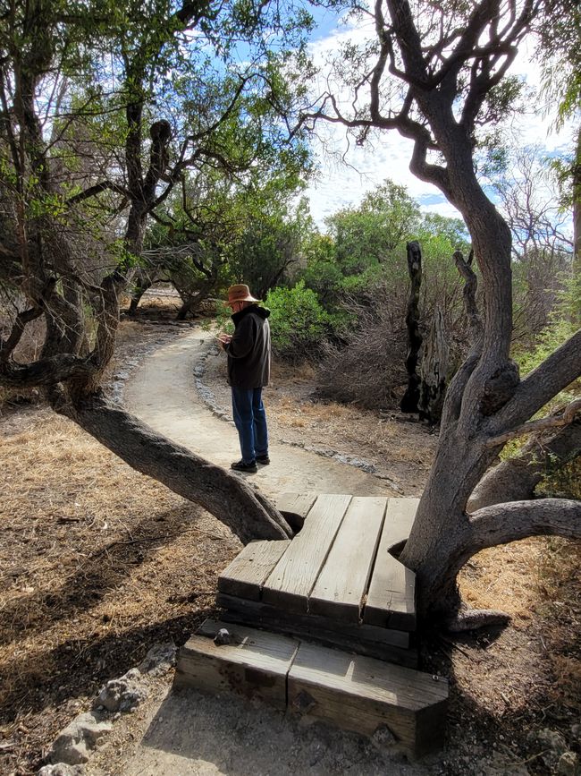 Tag 92: Penneshaw/Kangaroo Island/Australia