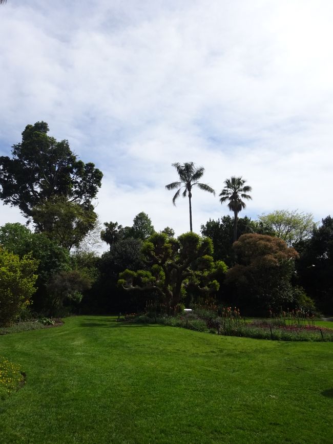 Botanical Garden in Melbourne