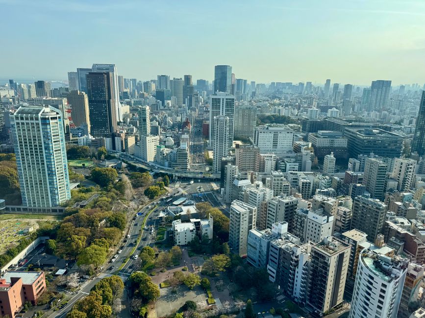 Parte 7
BENVENUTO IN GIAPPONE 🇯🇵
TOKYO
