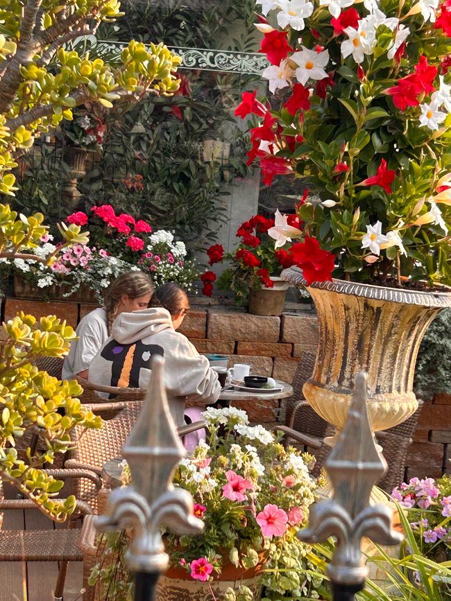 Breakfast in Mediterranean style