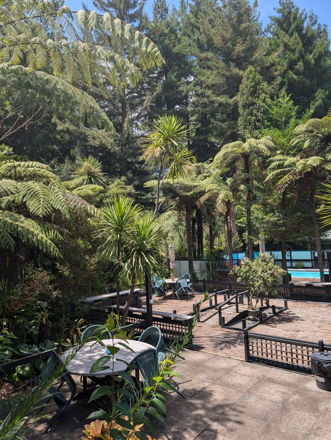 A rainbow doesn't choose to be a rainbow...