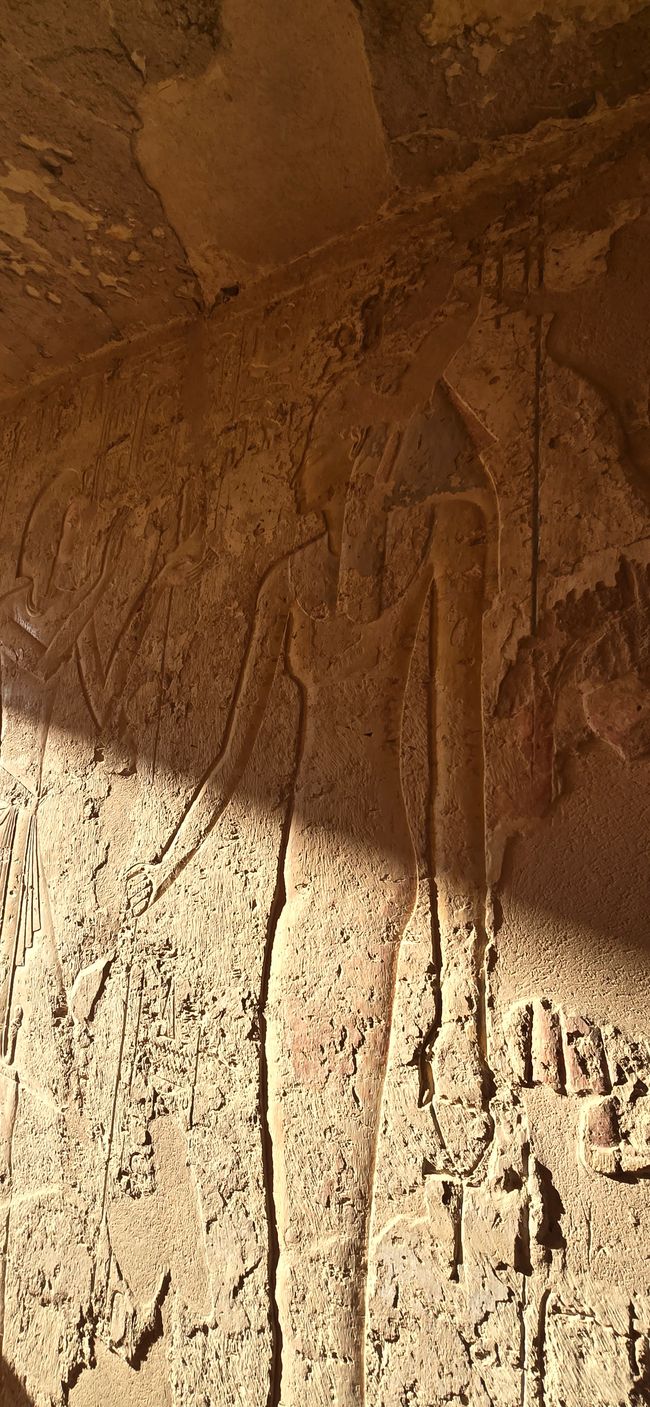 Zwischen Urlaub und Nebenwirkungen- Ägypten hautnah