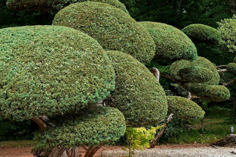 Parc Floral de La Source