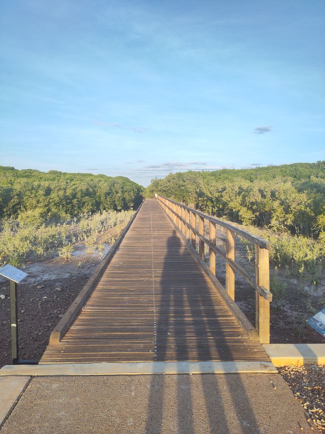 Muelle de Streeter en Broome