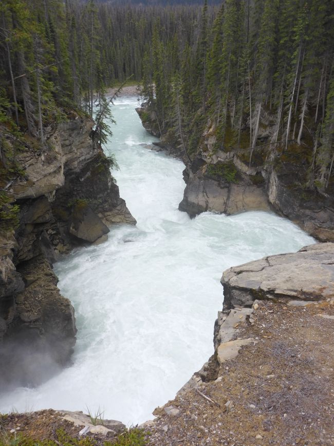 2025-06-19 sur l'Icefields Parkway de Jasper à Lake Louise, CA