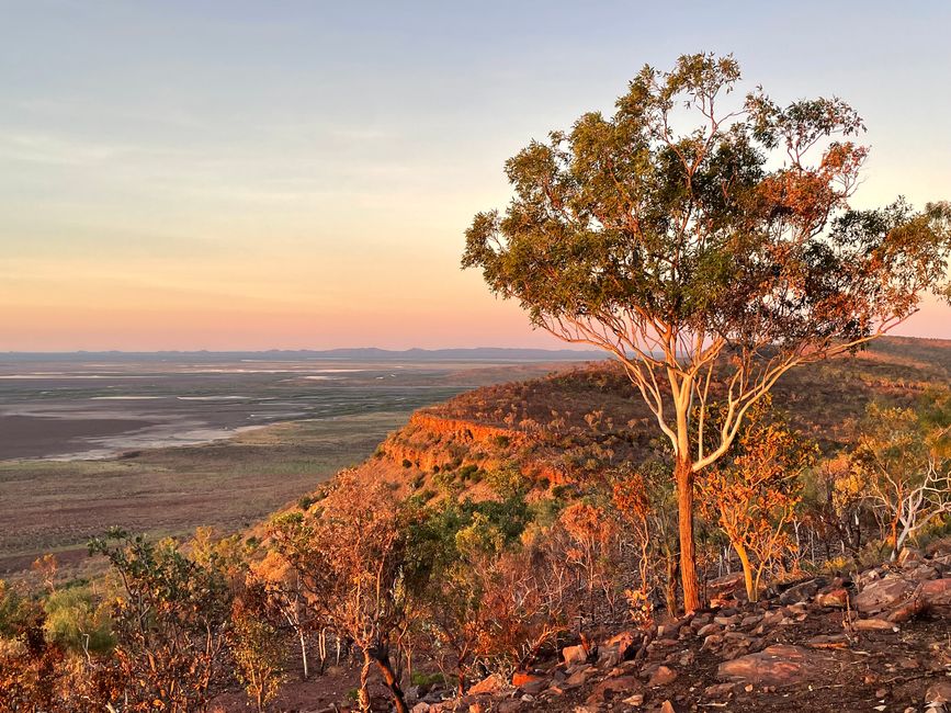 Vue sur la vallée du Ord River