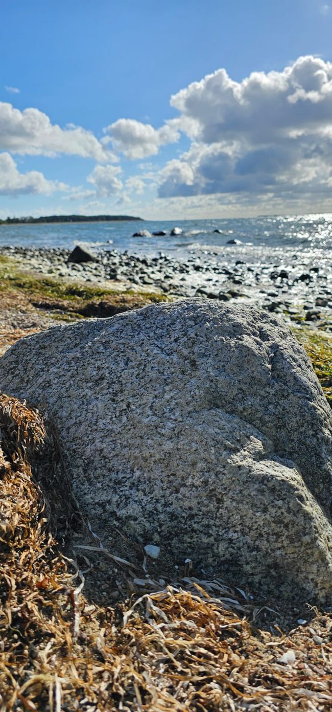 Rügen - hier Klein Zicker