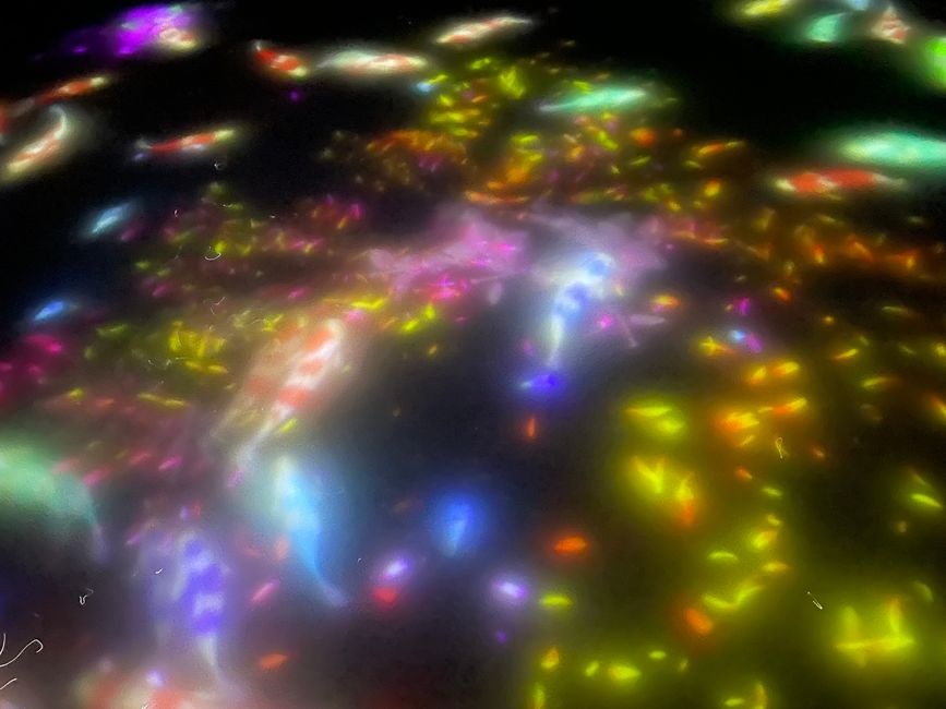 TeamLab Planets