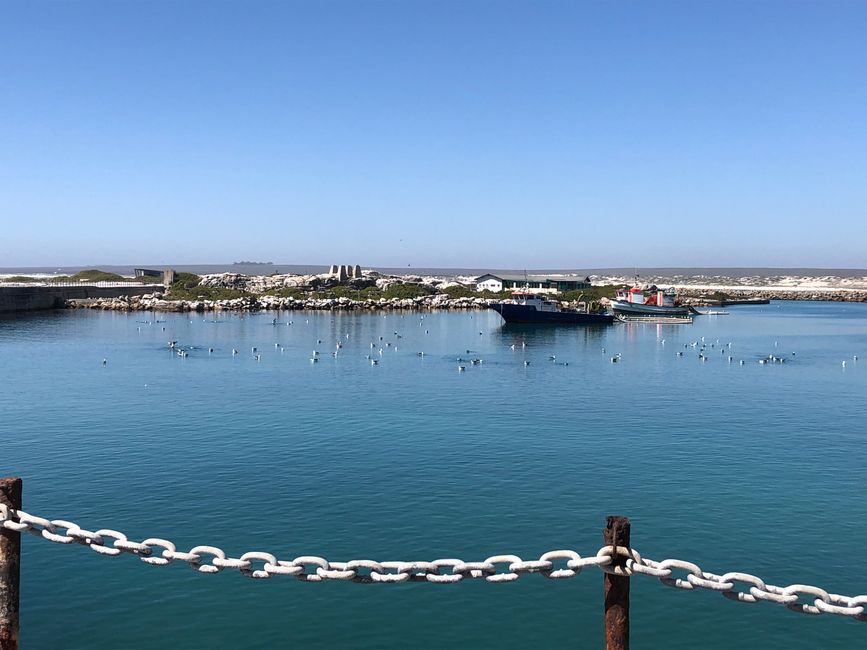Lambert´s Bay - am Hafen