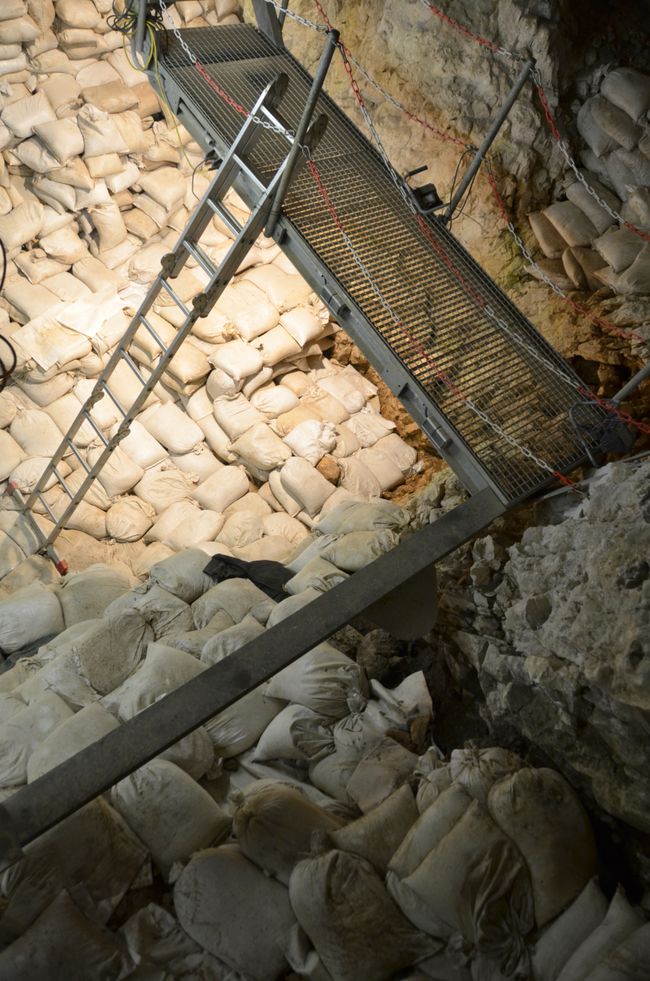 Fenêtres sur le passé - La grotte de Hohle