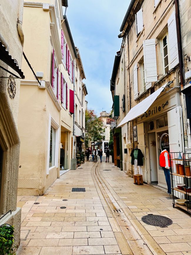 Saint-Rémy-de-Provence, los Alpilles y Salon-de-Provence