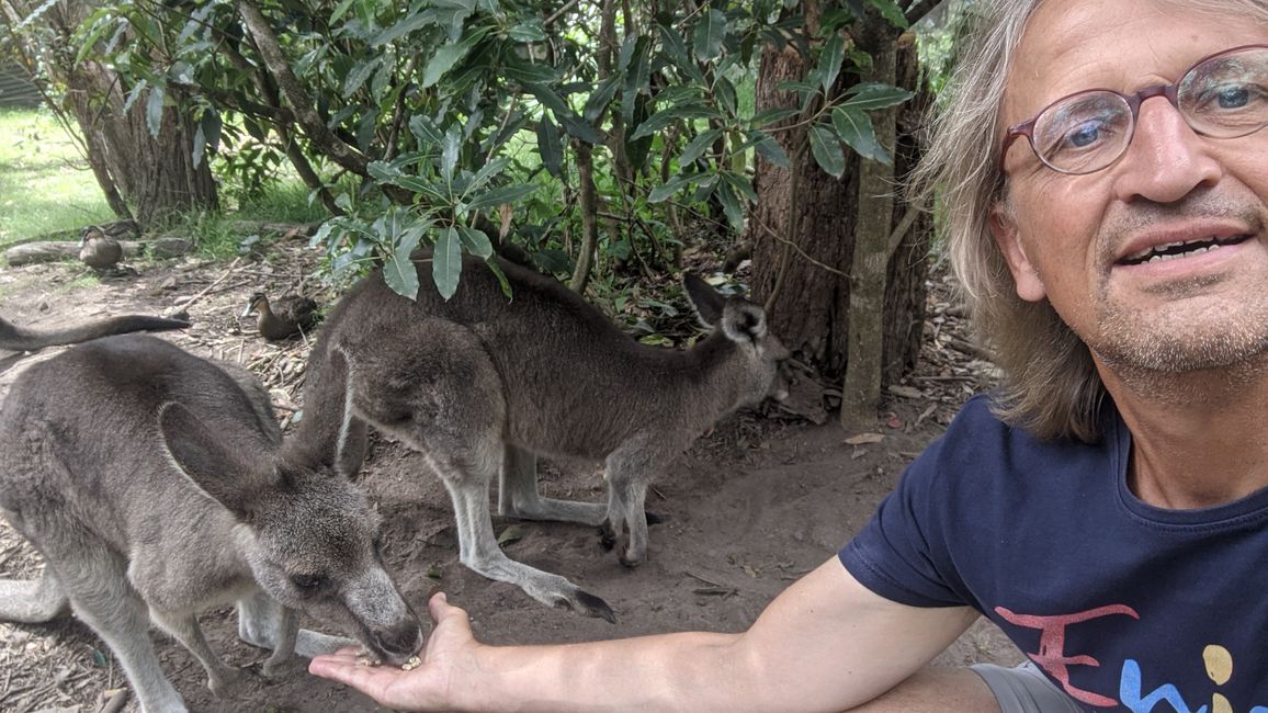 Sanctuaire d'animaux & Schiibefiir
