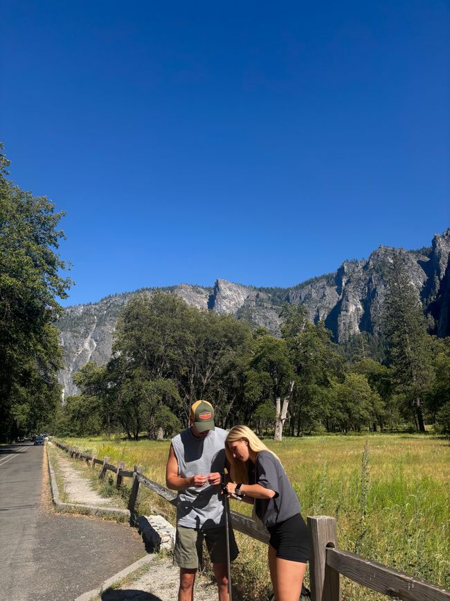 Tag 9 - Ultimo giorno nello Yosemite e un momento indimenticabile con un orso 🐻