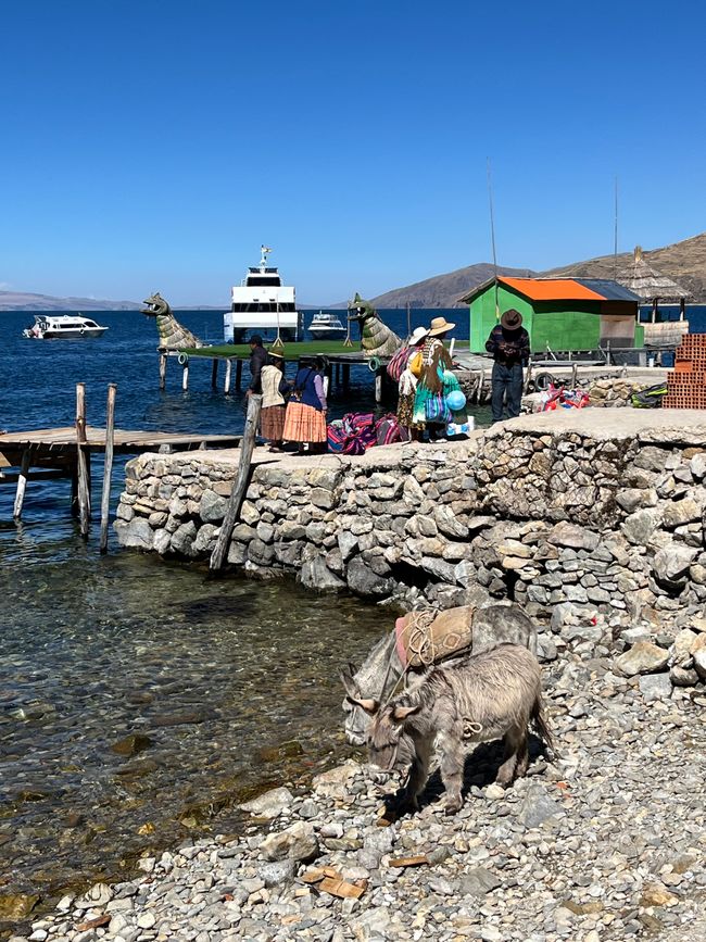Porto sud