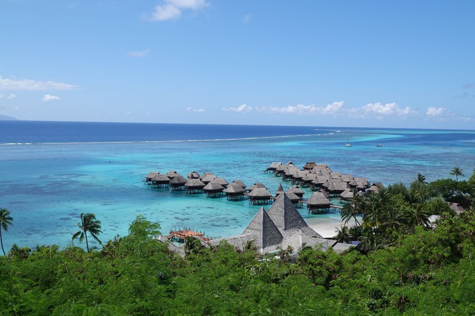 Heute war unser letzter Tag auf Moorea ....
