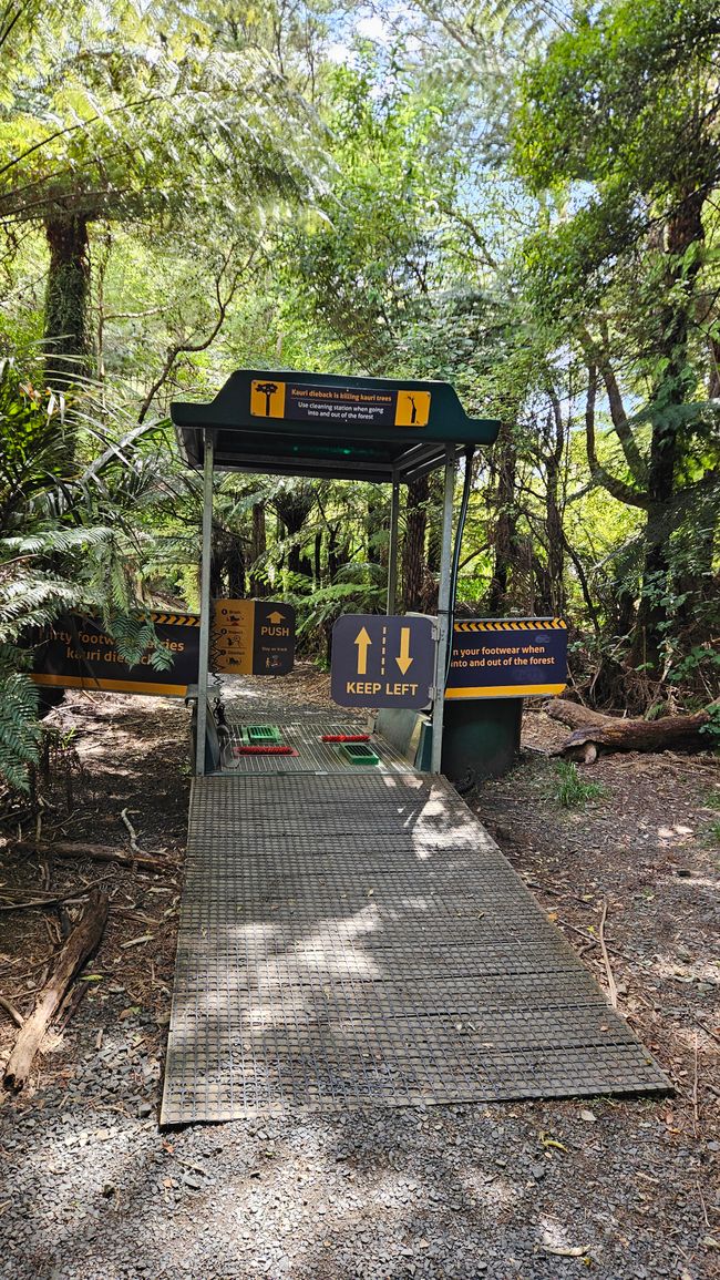 Whangamatā - Mount Paku - Hot Water Beach