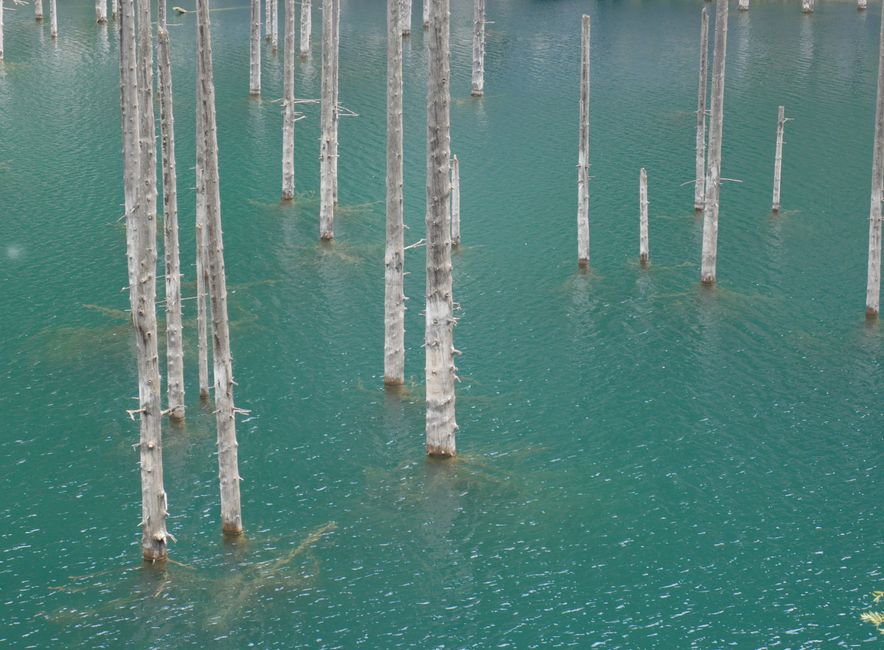 Excursión a los lagos de montaña Kaindy y Kolsai
