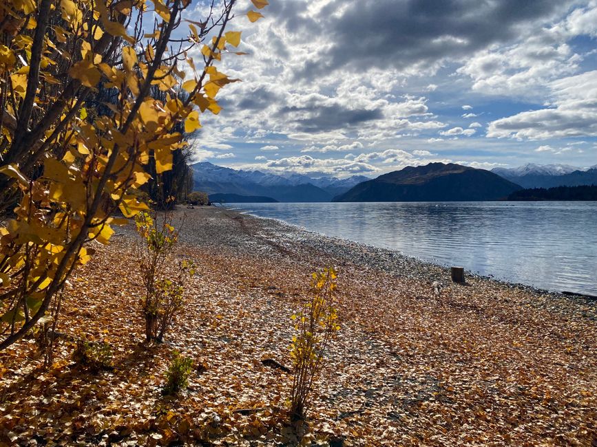 Tekapo, working and off we go