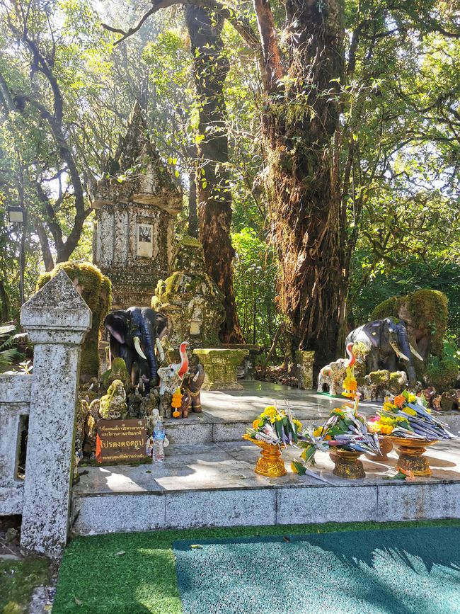 旅行团的第一次出行 - 印度纳国家公园，瓦奇拉坦瀑布，双皇塔，以及在大象庇护所喂食和洗澡