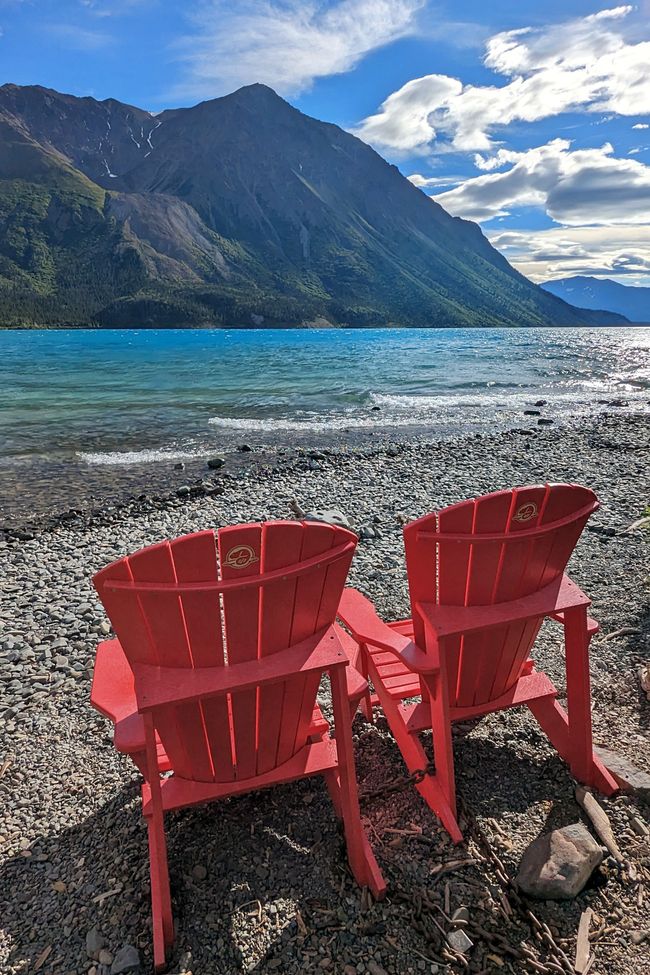 Tag 27: Bärenshow & fantastische Bergwelten - zurück nach Yukon/Kanada