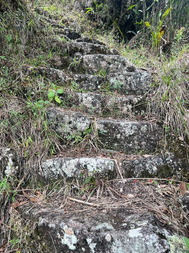 👷‍♂️标签 31-1 (3.11.) 马丘比丘，登上惠纳比丘山