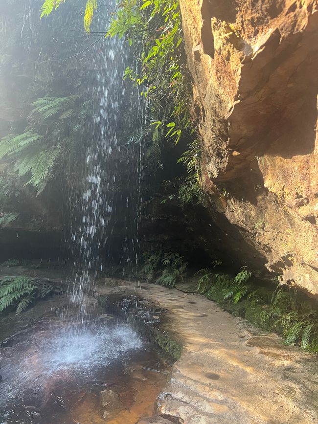Great Canyon Track