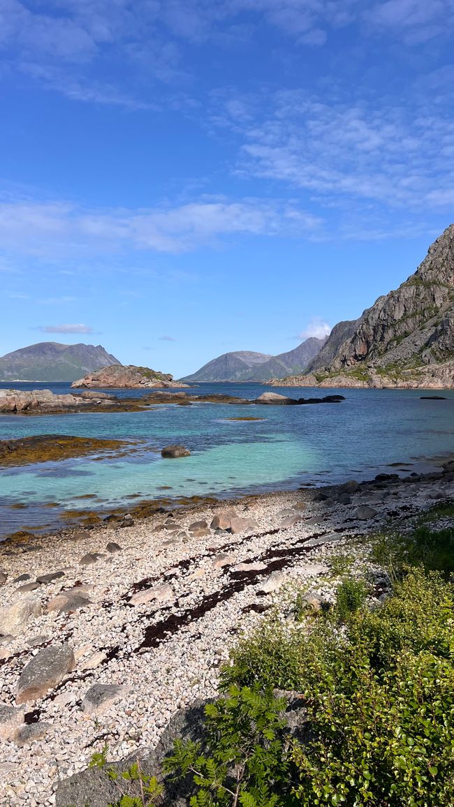 LOFOTEN - Che mondo meraviglioso?