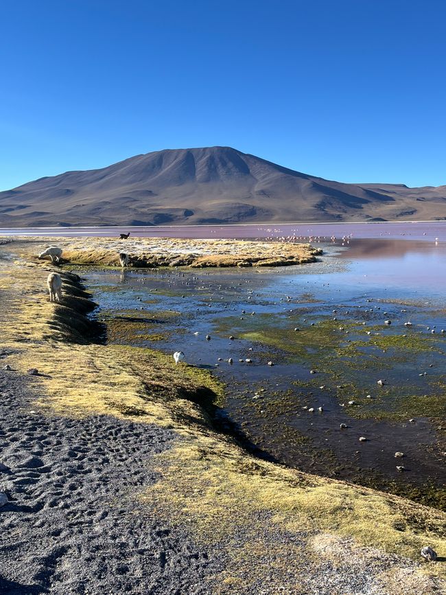 Salar de Uyuni