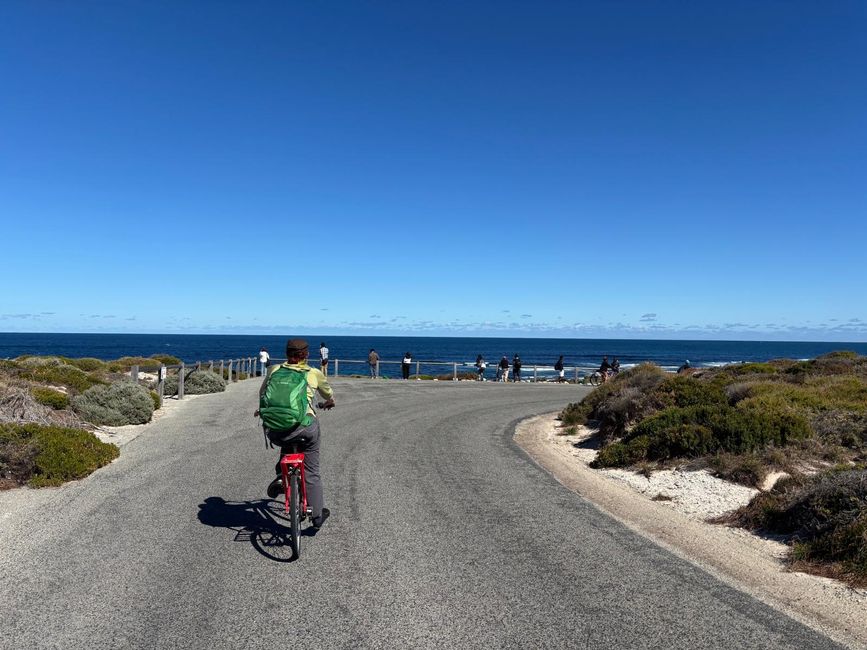 Rottnest Island