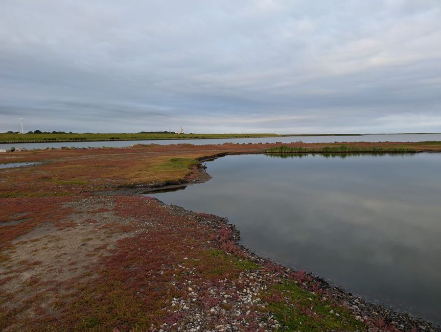 Fehmarn ● The morning hour has gold in its mouth