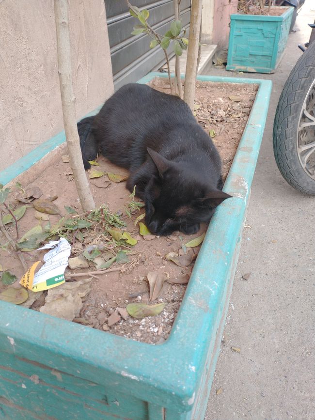 Marrakech (1)