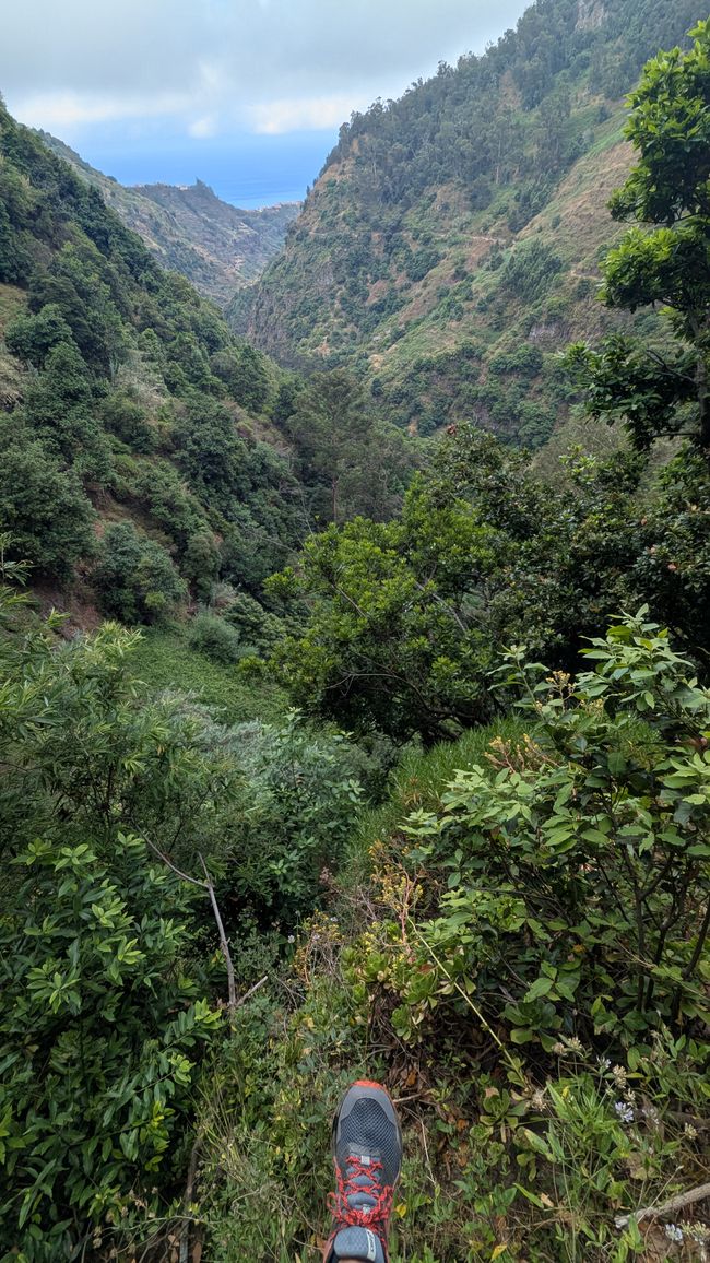 Tag 8: Wandern entlang der Levada do Moinho & Levada Nova