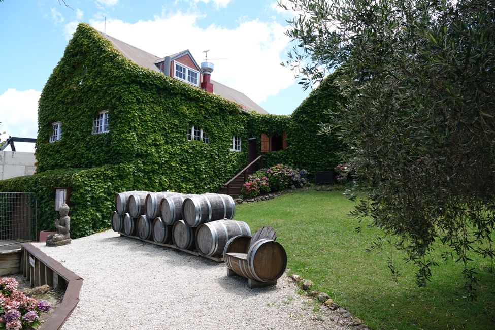 Vineyard Stonyridge