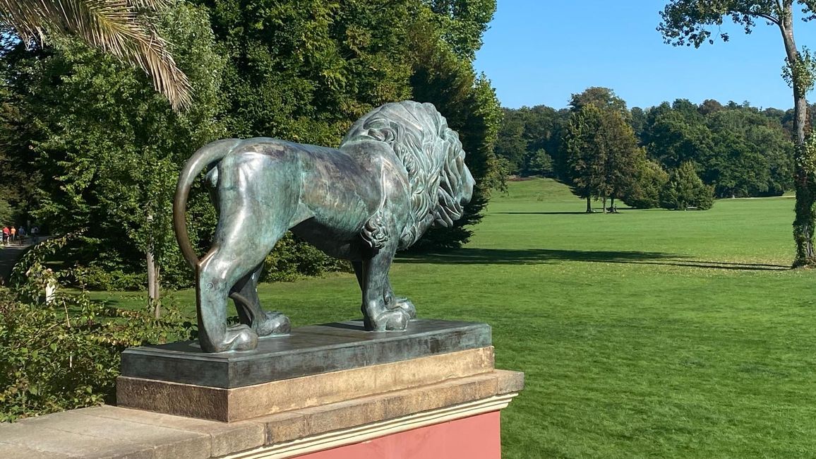 Von Kutsche bis Kaffeepause: Ein Tag in Bad Muskau