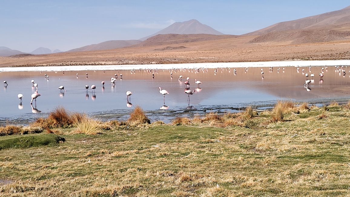 Bolivia, Tour de Lagunas