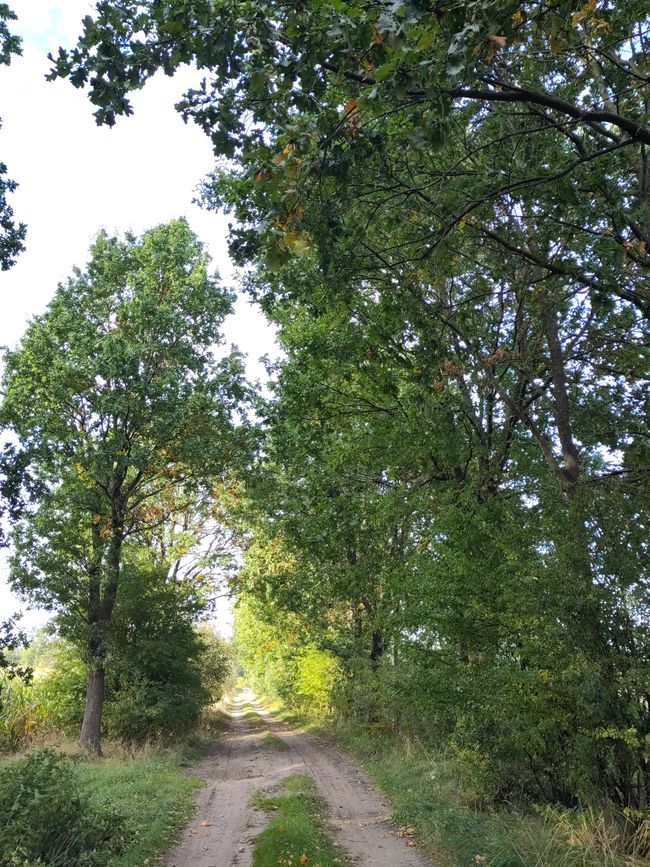 sandige Heidewege