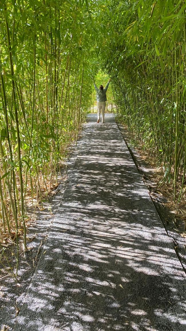 After the Spreewald came the high of excitement