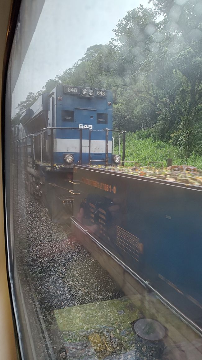 Brasil, Curitiba y viaje en tren por la selva tropical