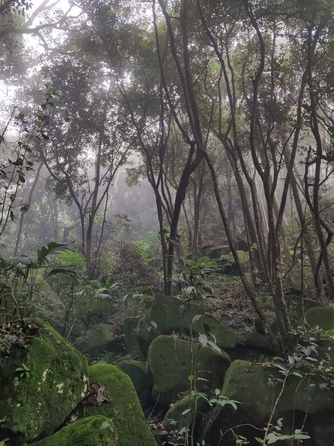 Seychellen - Tag 4: Weiterfahrt vom Süden in den Norden der Insel Mahe