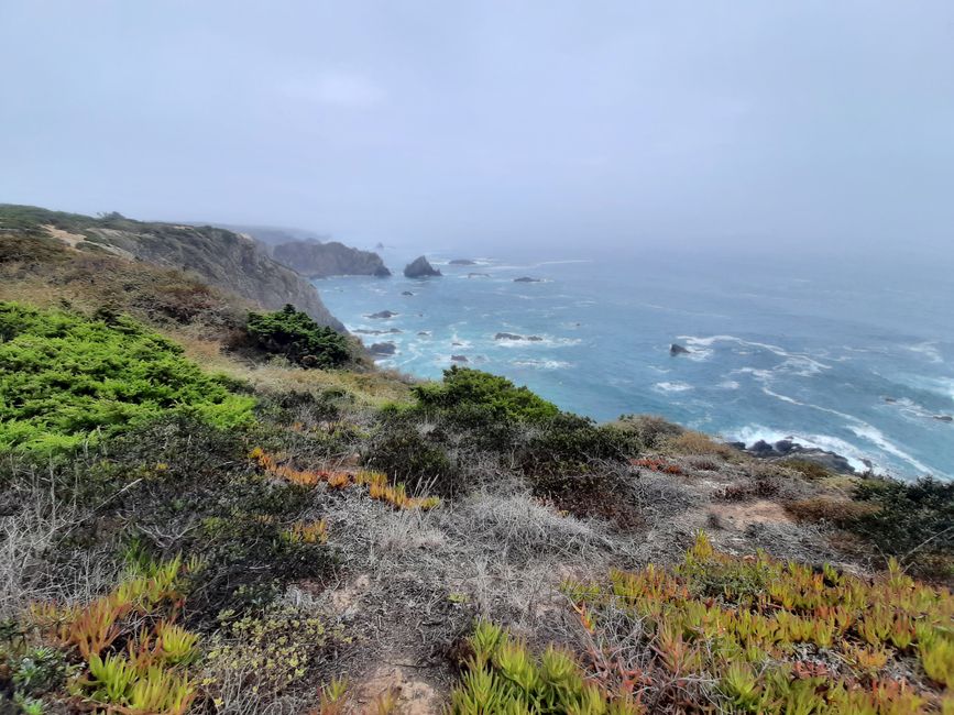 5. Etapa: con ampollas por la niebla