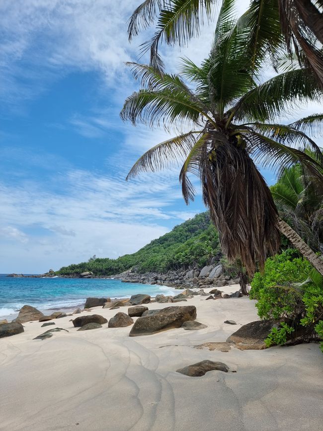 Seychellen - Tag 3: Insel Mahe Süden