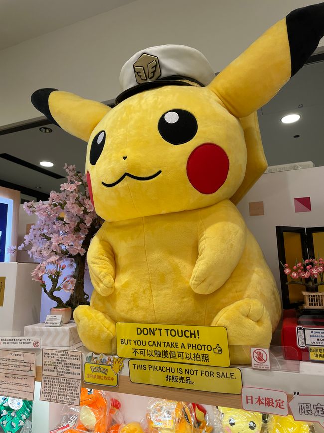 japan-honshu-fruehling-2025
