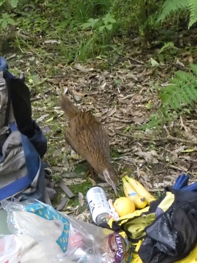 Puis-je manger cet orange ?