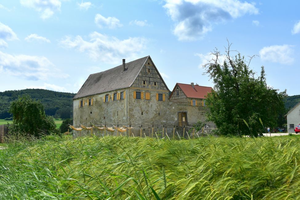 * * * S E C H T A S A F A R I - der Auerochsenweg
bei Bopfingen * * *