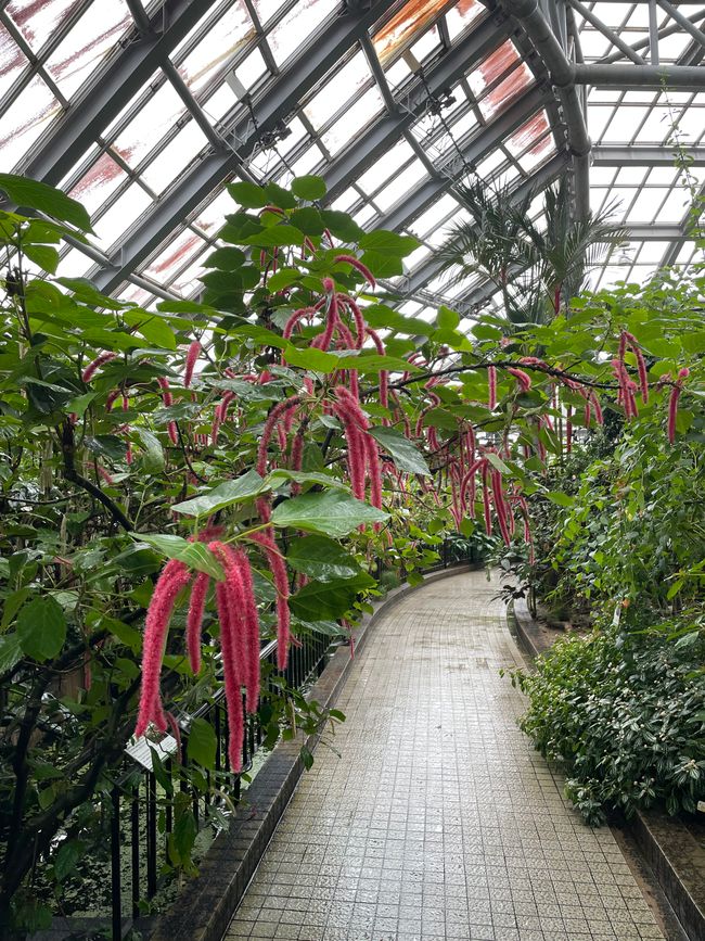 Kyoto Botanical Garden