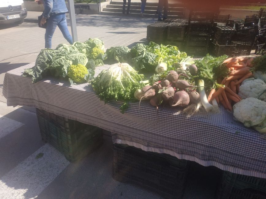 Wochenmarkt Bigues und Riells del Fai (Barcelona) (April 2024)