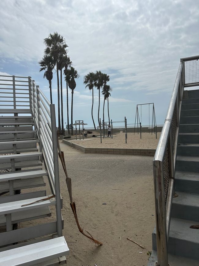 Venecia/Músculo y Huntington Beach y LA