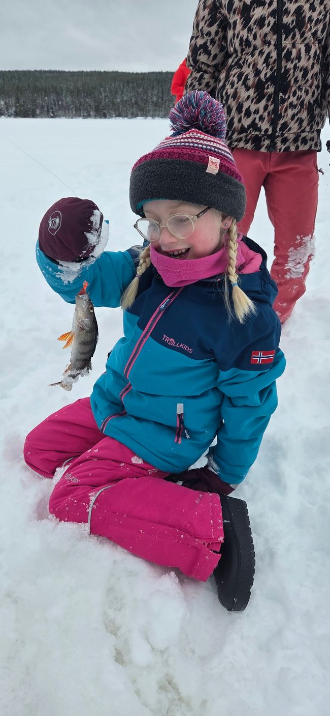 Ijsvissen