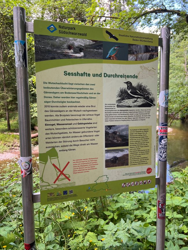 28 Wutachschlucht Pro Wolermoos