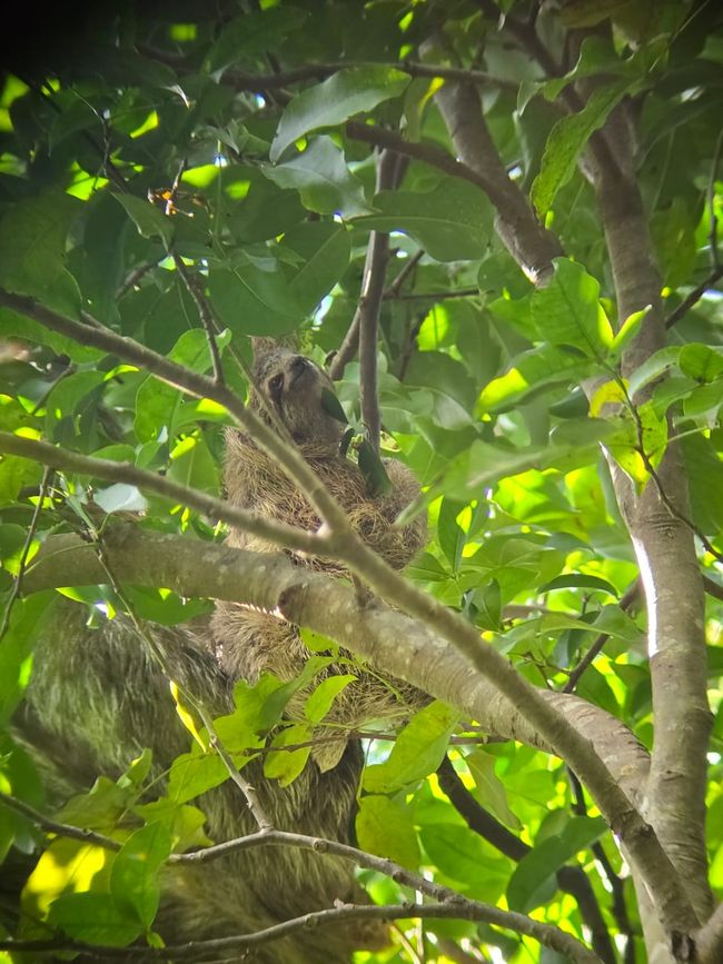 Costa Rica 🇨🇷 